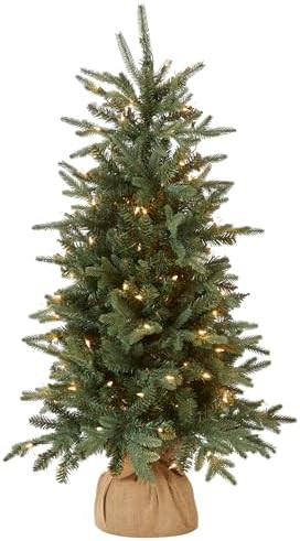 National Tree Company 4 ft Pre-Lit Everyday Collection Mini Artificial Christmas Tree, 150 Clear ... | Amazon (US)