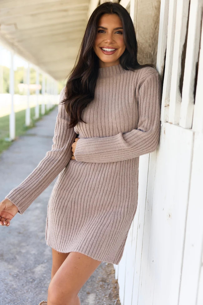 Fall Feels Mushroom Mock Neck Sweater Dress | Pink Lily