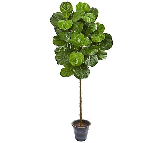 5' Fiddle Leaf Tree With Planter by Nearly Natural | QVC