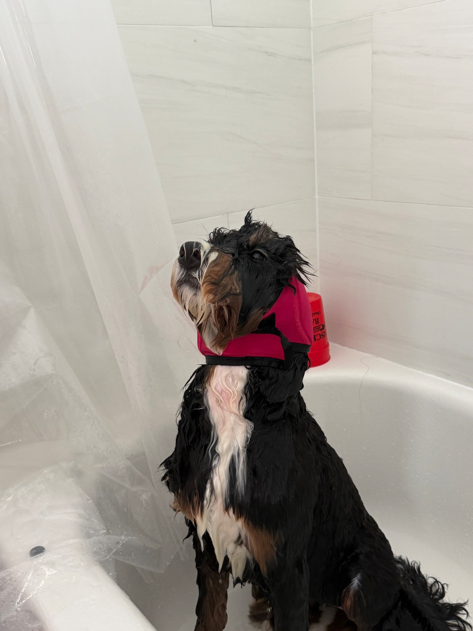 Rinseroo: Slip-On Tub Hose – As Seen on Shark Tank – 5ft Flex Bathtub Faucet Sprayer – Easy Rinse for Pets, Hair & Cleaning – No Installation Needed – Fits Faucets Up to 3” Wide – Mess-Free & Portable

#LTKTravel #LTKmomlife #LTKdayinmylife