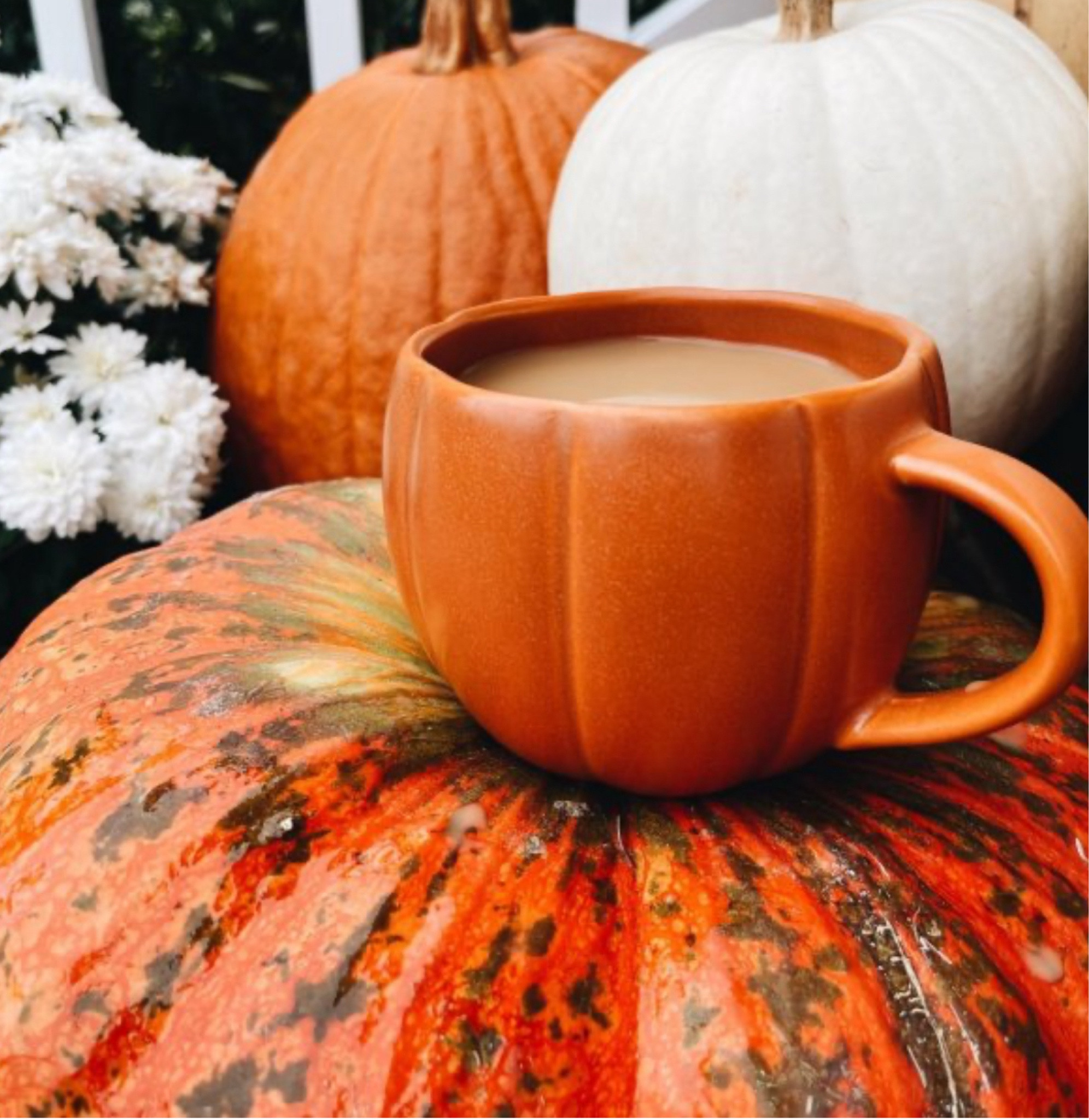 Sip into the season with our cozy pumpkin mug! 🎃 Perfect for fall brews and sweater weather vibes. 🍂 

#PumpkinSpiceAndEverythingNice #FallMugFaves #SipInStyle #pumpkin
#mugs #halloweendecor #halloween

#LTKHome #LTKHalloween #LTKParties