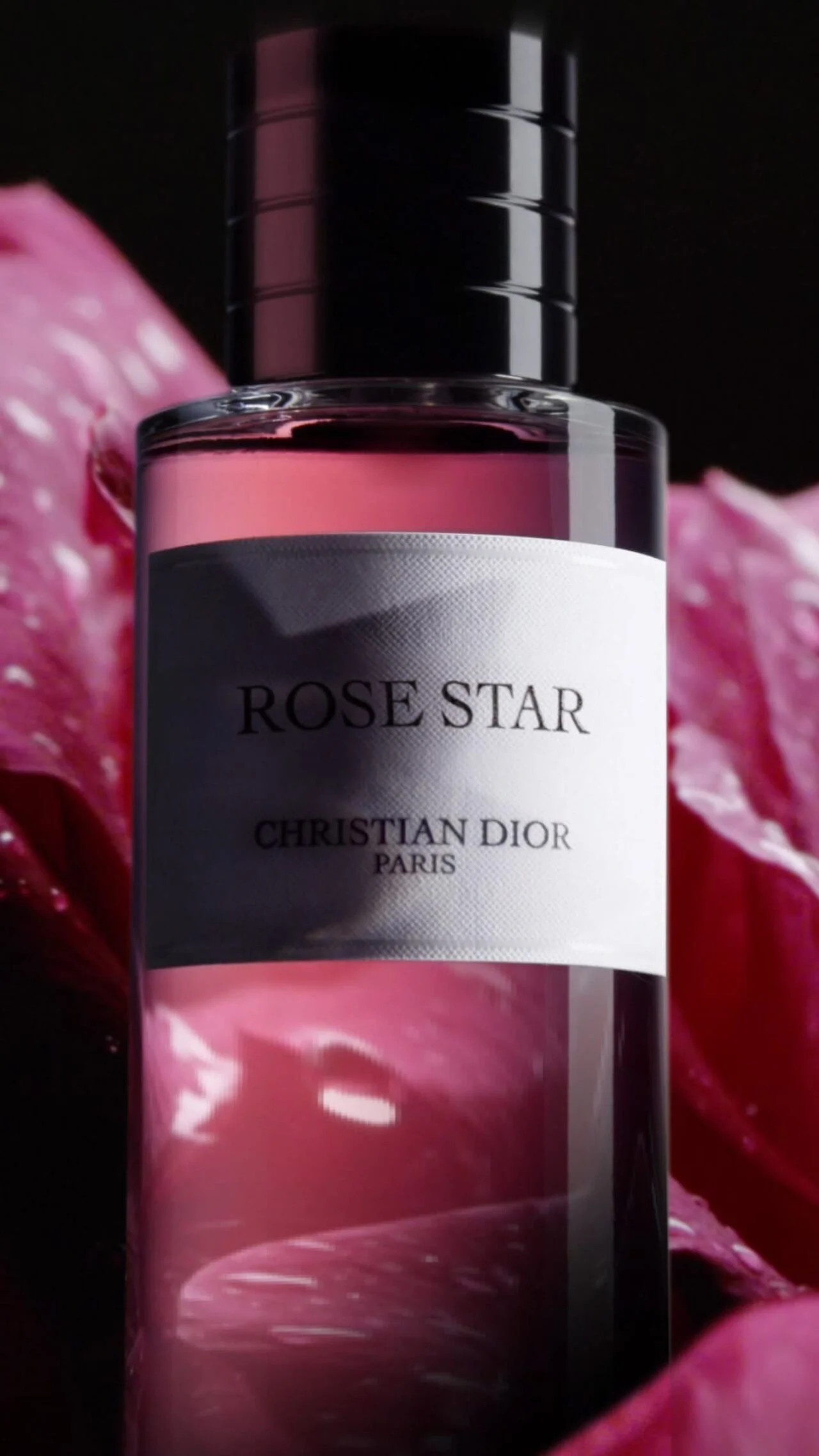 Rose Star | Christian Dior Parfums UK