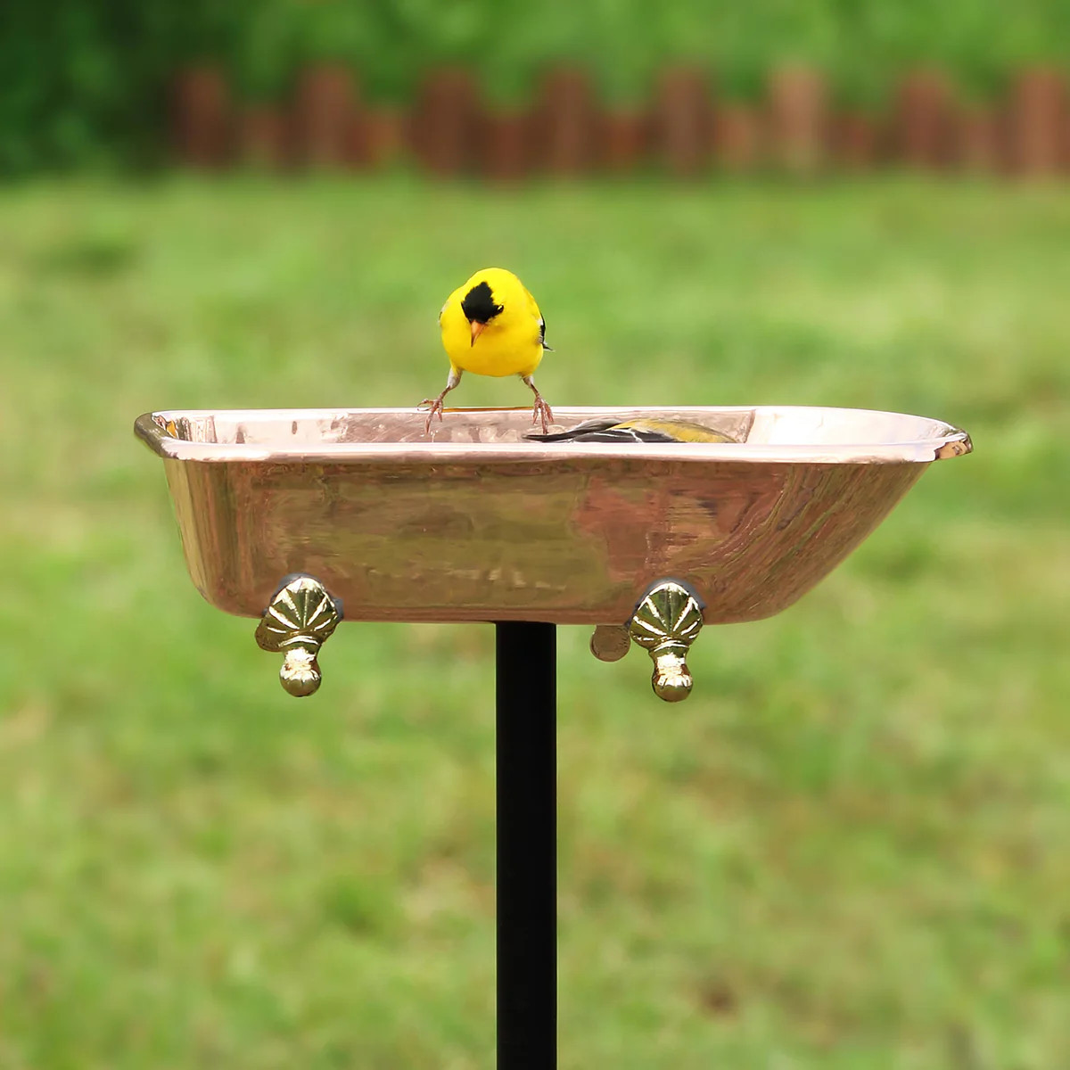 Splish Splash Birdbath, Polished Copper | Plow & Hearth