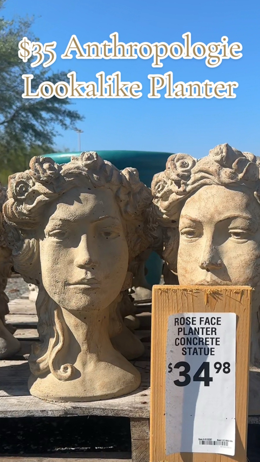 $35 bust planter that’s do SO similar to a very similar Anthto option(that’s way more expensive) 

Porch decor | patio decor | spring home decor | bust planter | whimsical home decor 

#LTKdayinmylife #LTKHome #LTKstorytime