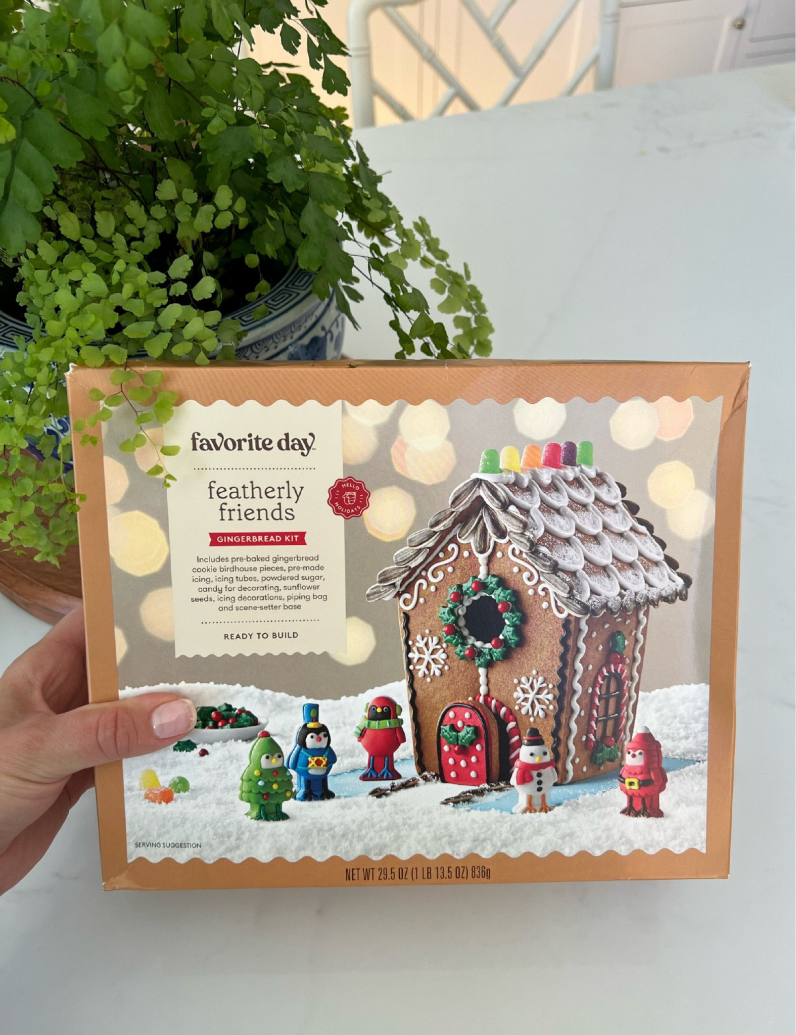 These gingerbread houses are great to keep the kiddos entertained during these colder long days at home. 

#LTKKids #LTKHoliday #LTKFamily