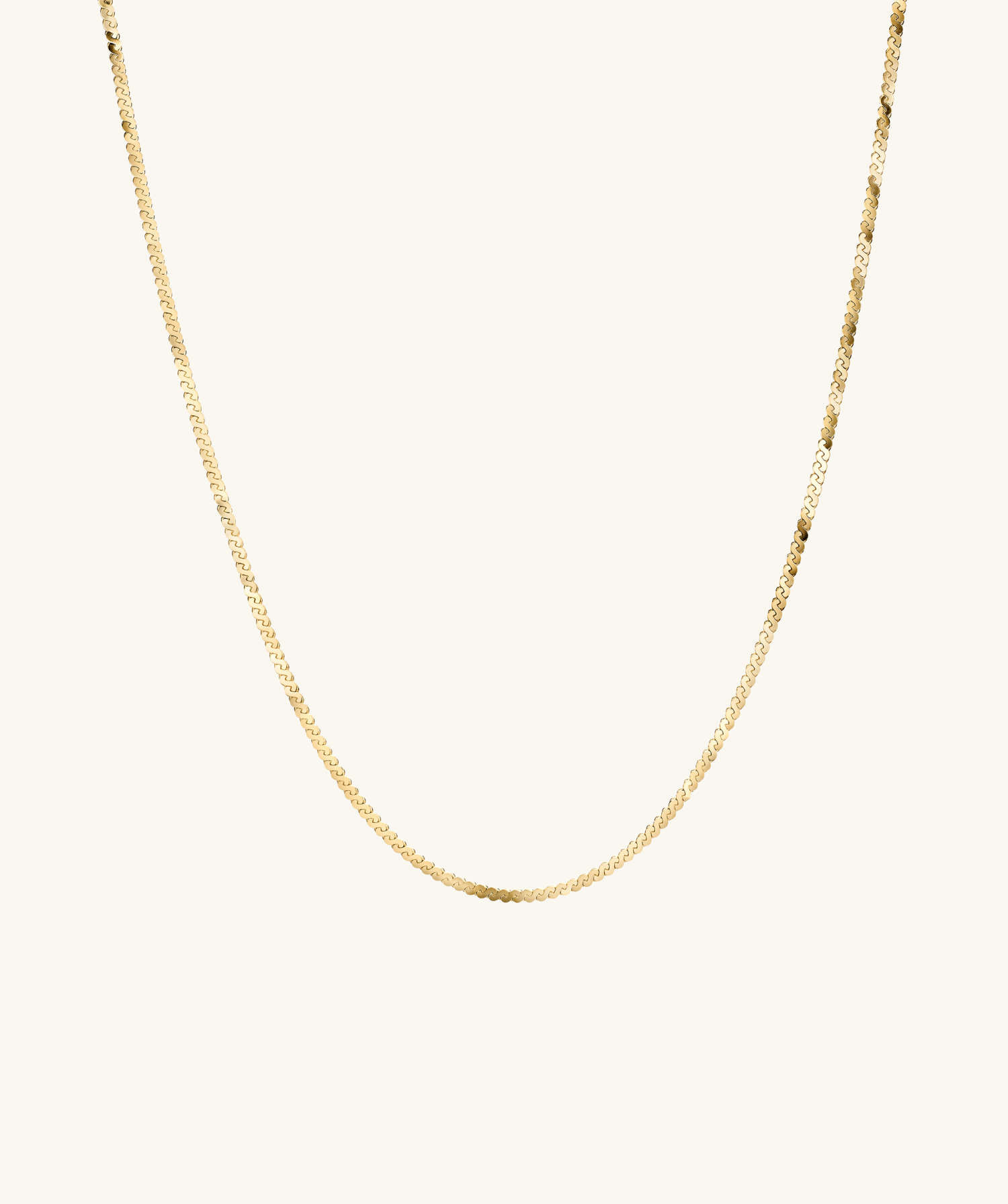 Serpentine Chain Necklace | Mejuri (Global)