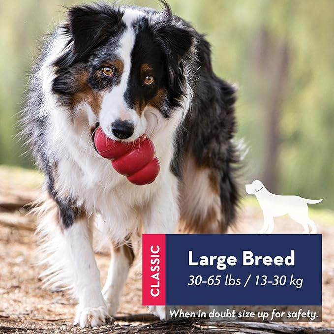 KONG - Classic Dog Toy, Durable Natural Rubber- Fun to Chew, Chase and Fetch - for Large Dogs | Amazon (US)