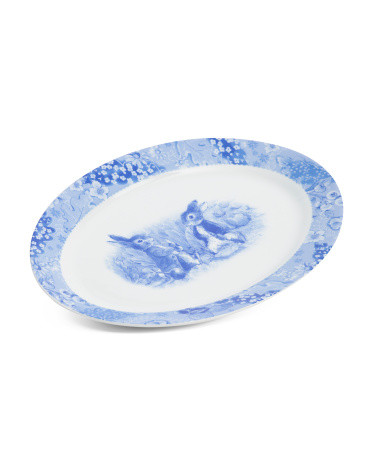 Peter Rabbit Toile Lapin Oval Platter | TJ Maxx
