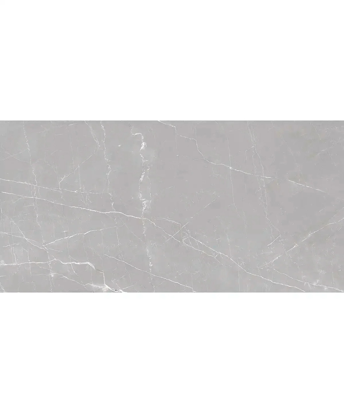 Boldara Cenere Marble Look Porcelain Large Format Tile 24x48 | Tile Club | Tile Club