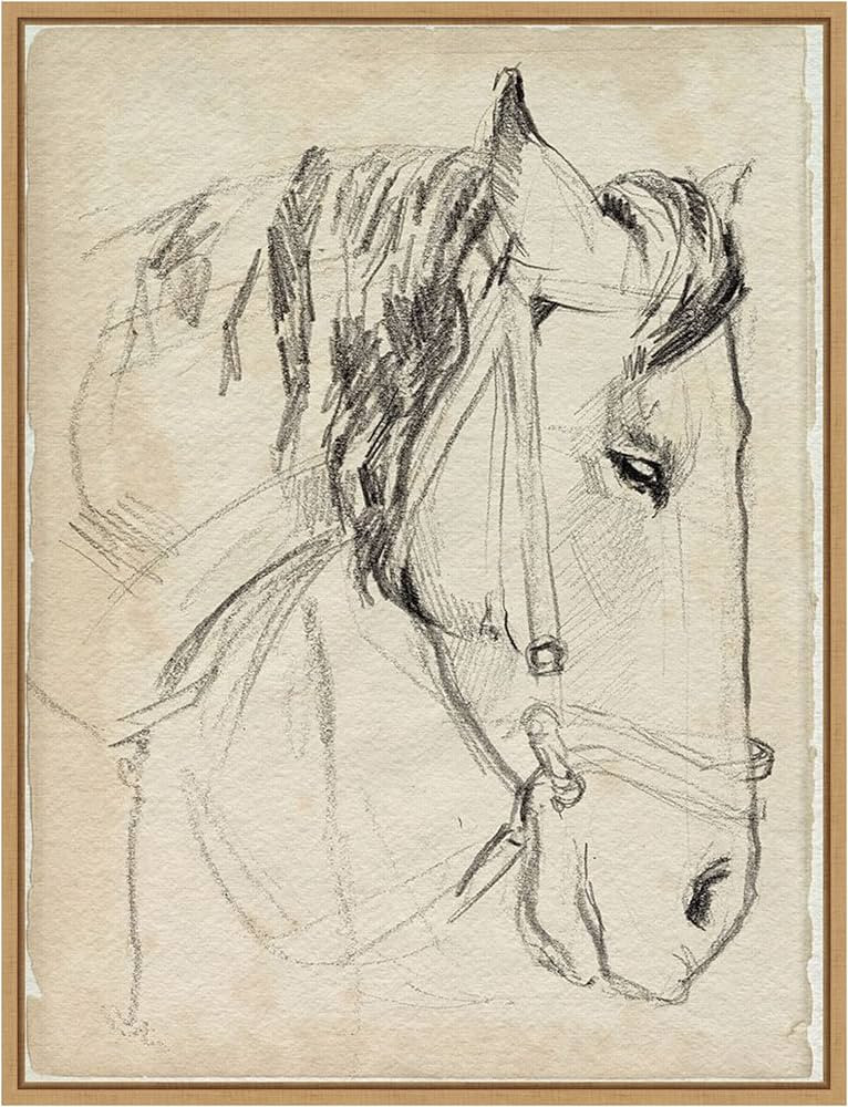 Amanti Art Framed Canvas Wall Art 24x18 Horse in Bridle Sketch I by Jennifer Paxton Parker, Frame... | Amazon (US)