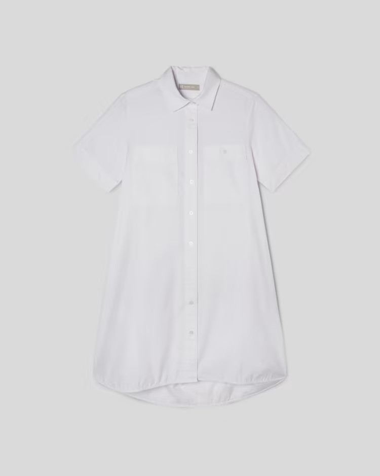 The Daytripper Shirtdress | Everlane
