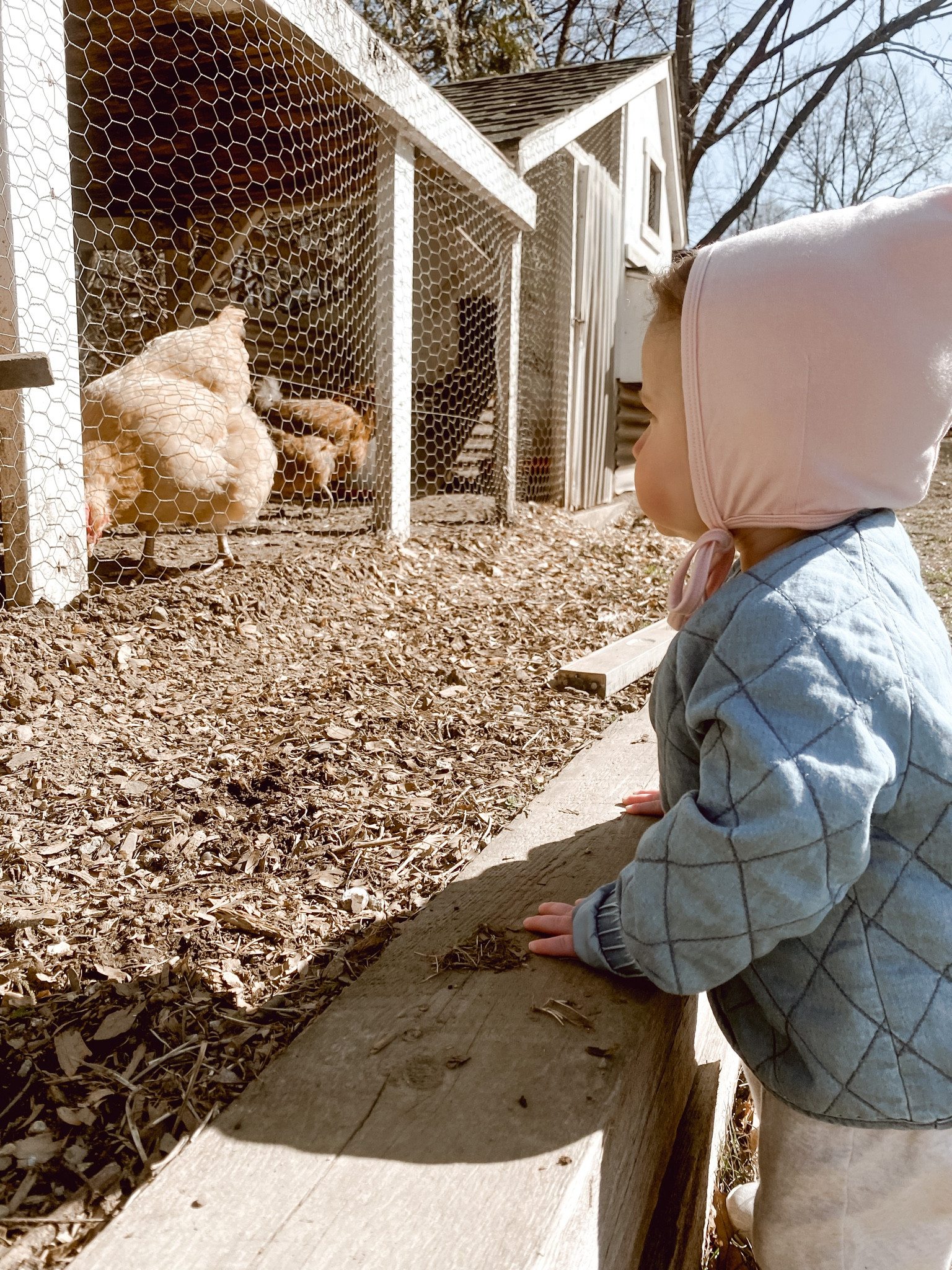 Loving her chickens 

#LTKSeasonal #LTKbaby #LTKhome