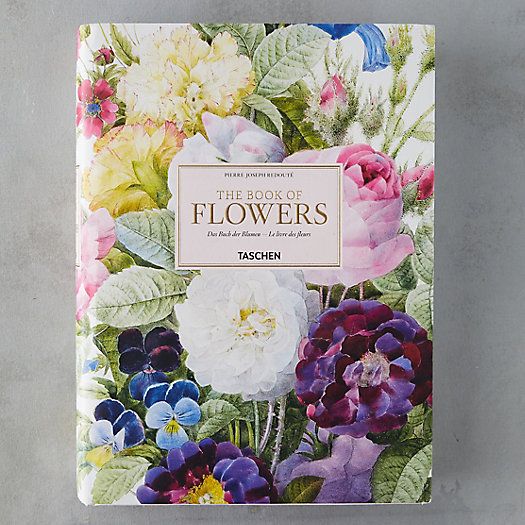 The Book of Flowers | Terrain