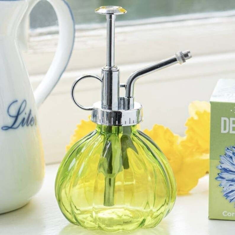 Glass Water Mister Gift for Mum gardening Birth Flowerbright - Etsy Canada | Etsy (CAD)