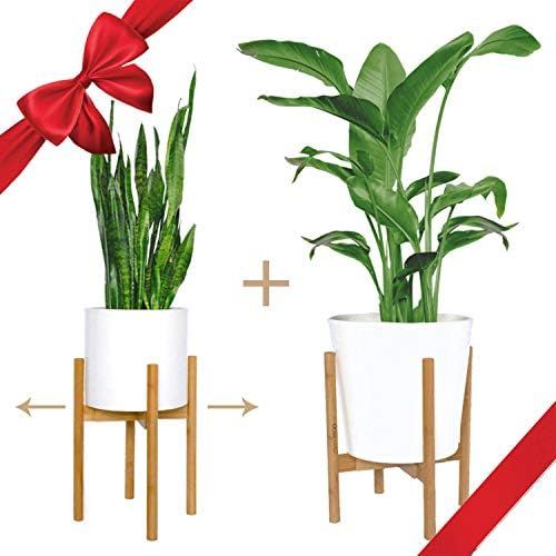 [2 Pack] mini+MOD Mid Century Plant Stands – Get 2 Natural Bamboo Adjustable Plant Stands-Plant... | Amazon (US)