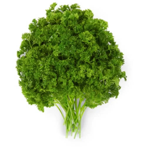 Fresh Curly Parsley, Bunch - Walmart.com | Walmart (US)