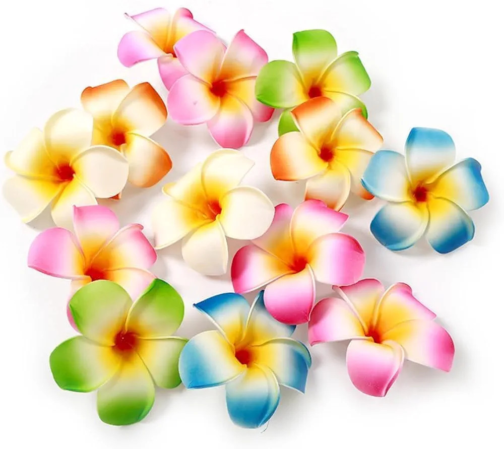 10Pcs Multicolor Hawaii Plumeria Flower Clips Hawaiian Flower Hair Barrettes Beach Party Hair Cli... | Amazon (US)