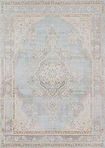 Momeni Rugs Isabella Traditional Medallion Flat Weave Area Rug, 7'10" X 10'6", Blue | Amazon (US)