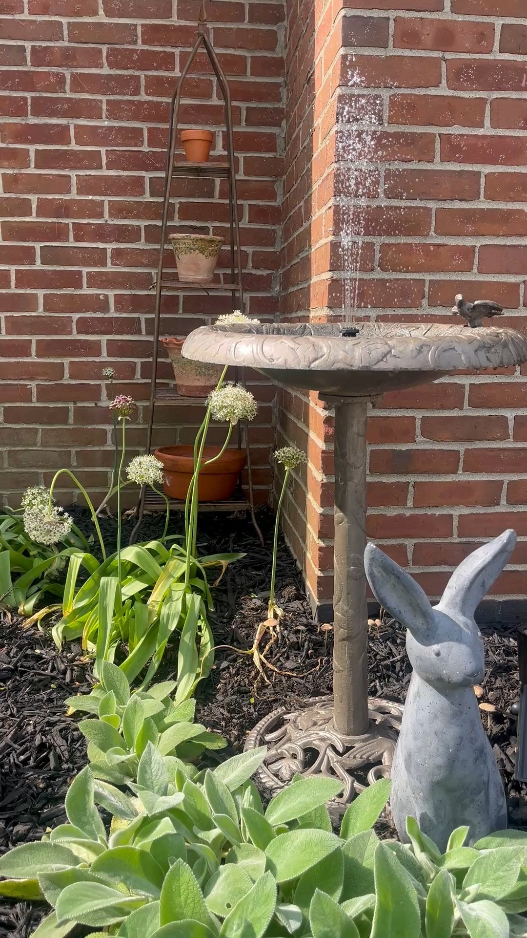 Want to add some charm to your yard? This solar powered bird bath fountain makes an adorable gift! 

#LTKSeasonal #LTKFindsUnder50 #LTKSummerEdit