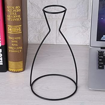 Metal Vase Frame Black Iron Flower Vase Frame Plant Holder Flower Stand Indoor Cafe Home Decorati... | Amazon (US)