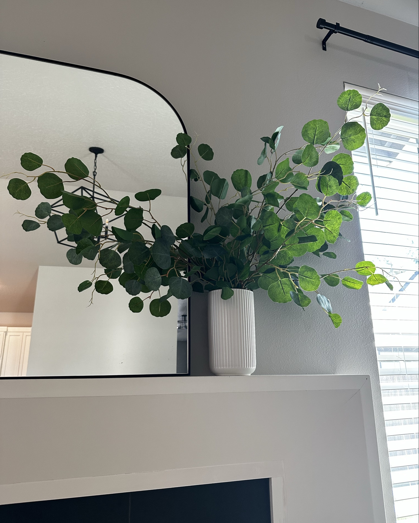 One of my favorite life like stems! I buy these often! They look extremely real. The best faux eucalyptus stems!

You can bend the base of them at different heights when putting them in a vase. This makes them different heights and looks more organic/life like.

Greenery, stems, home decor, home design, earthy home, vases, artificial stems, design tips, design help, home ideas 

#LTKHome