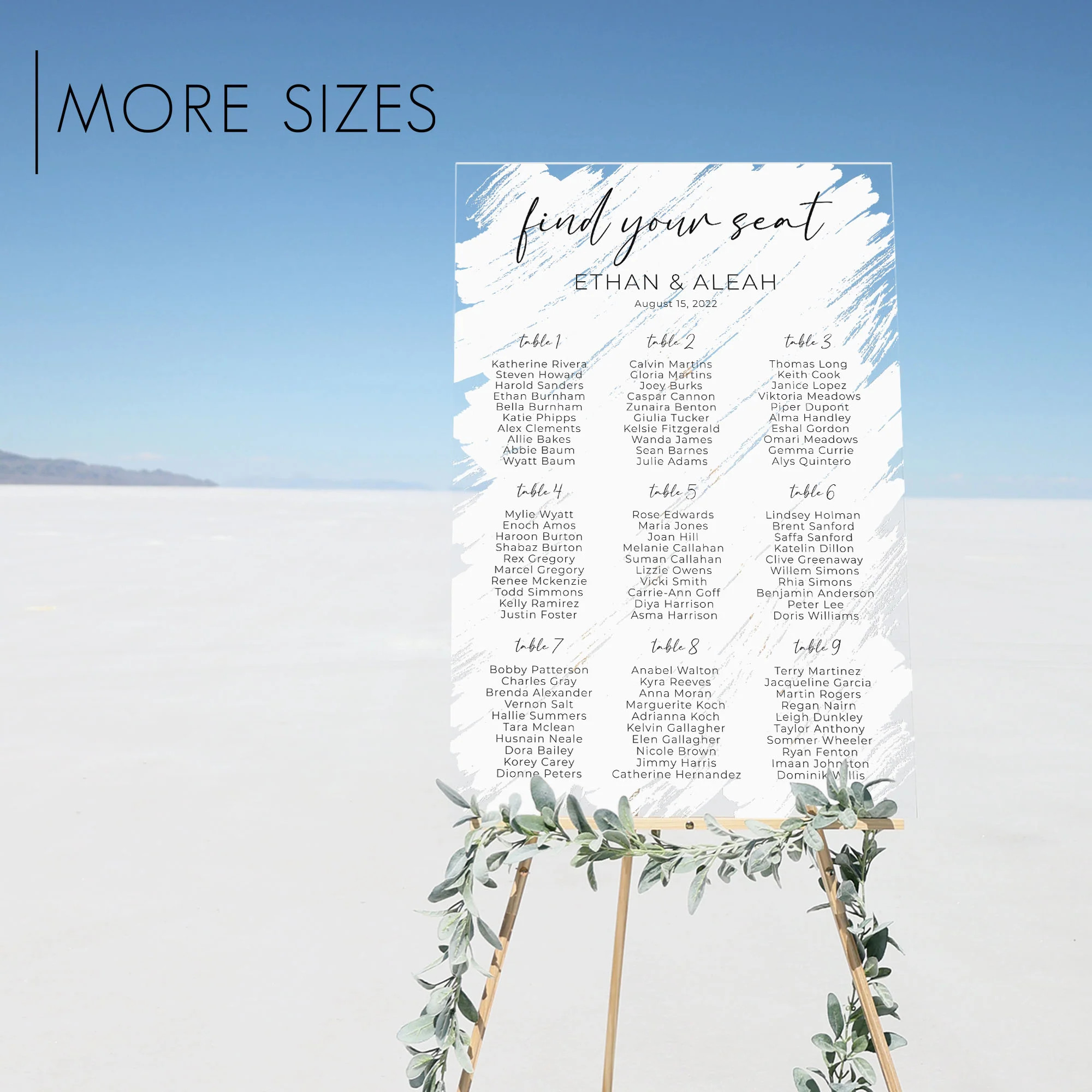 Brushed Acrylic Seating Chart | Vertical Olivia | Circle and Square Decor 