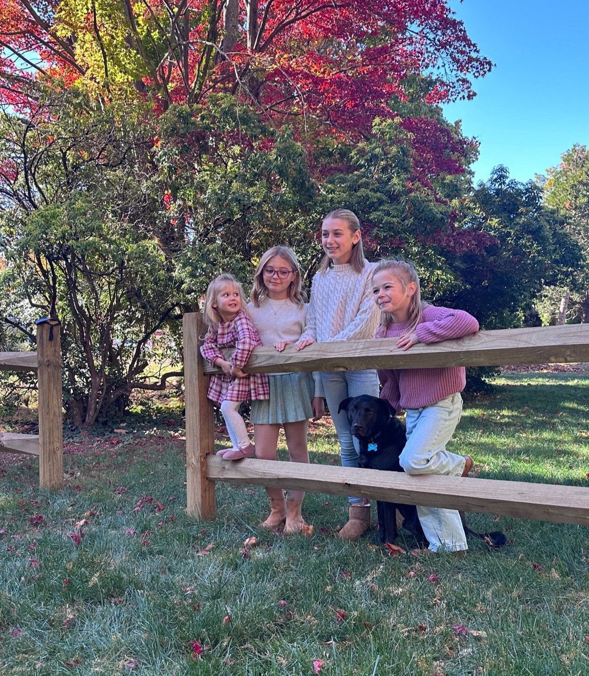 Girls photo shoot outfits !

#LTKHoliday #LTKKids #LTKSeasonal