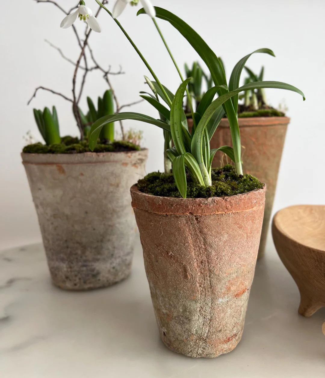 Rustic Terracotta Plant Pot: Farmhouse Style Garden Decor in Three Sizes - Etsy | Etsy (US)