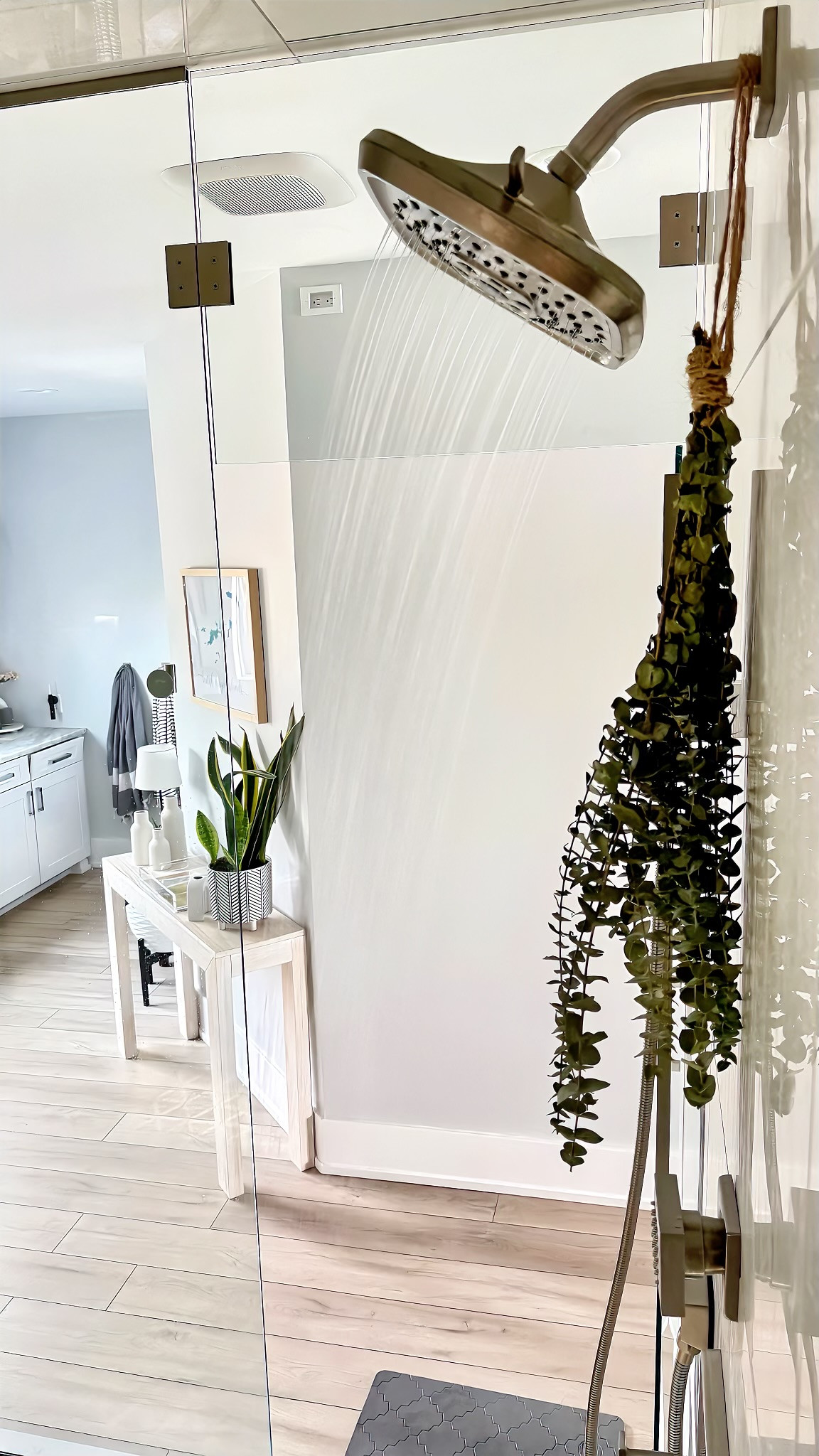 5 Health Benefits to Eucalyptus  | Amazon (US)