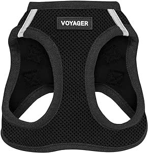 Voyager Step-in Air Dog Harness - All Weather Mesh Step in Vest Harness for Small and Medium Dogs... | Amazon (US)