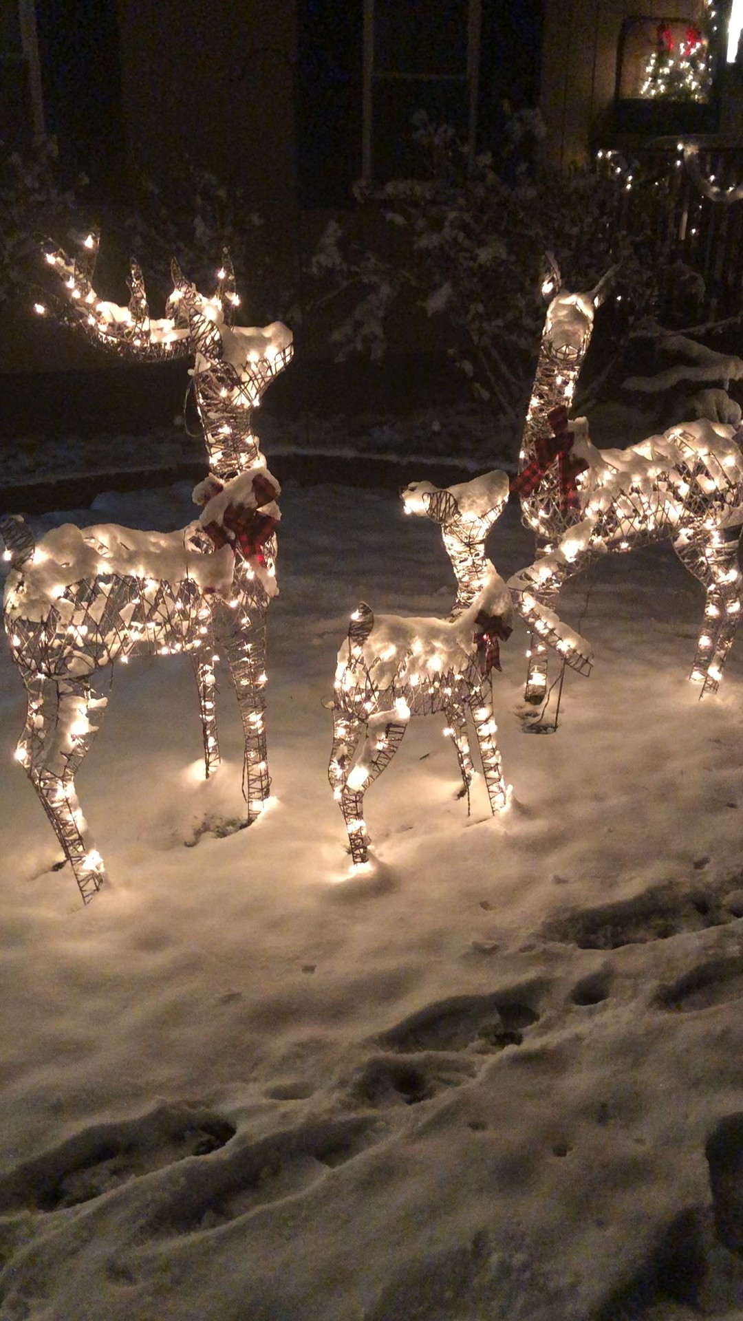 Christmas dear set ❤️

Christmas decor
Christ decorations 



#LTKHome #LTKHoliday #LTKSeasonal