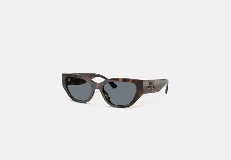 Geometric Cat Eye Sunglasses | Coach Outlet US