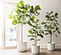 Faux Fiddle Leaf Fig Trees | Pottery Barn (US)