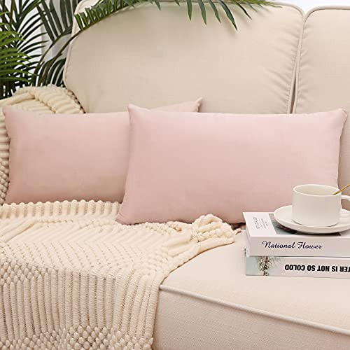 MZPSO Pack of 2, Velvet Super Soft Solid Decorative Square Throw Pillow Covers Set Cushion Case for Sofa Bedroom Car 12 x 20 Inch 30 x 50 cm Pink | Amazon (US)