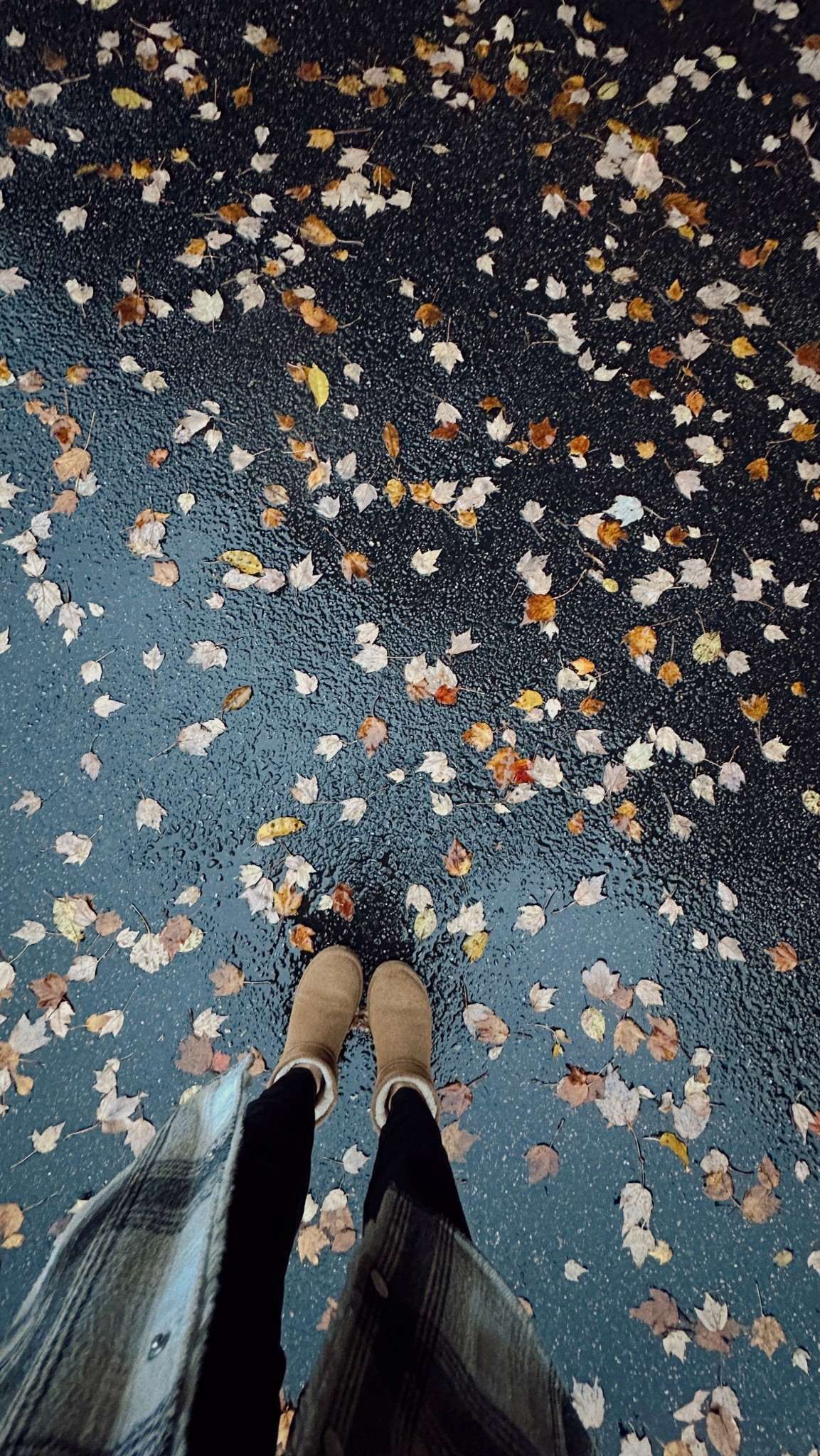 Cozy fur lined alternative to the popular brand (for a lot less)!! I’ve had them for a whole year and they’re still perfect as ever! 

#LTKOver40 #LTKSeasonal #LTKGiftGuide