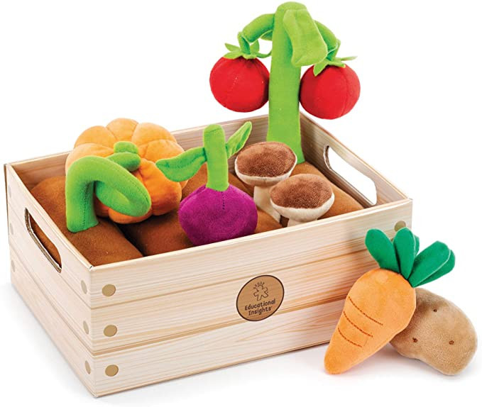 Educational Insights Plush Vegetable Garden 13-Piece Set: Pretend Food, Early-Learning Skills, Ag... | Amazon (US)
