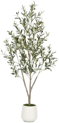 VIVATREES Olive Trees Artificial Indoor, 5FT Tall Faux Olive Tree with White Tall Planter, Artifi... | Amazon (US)
