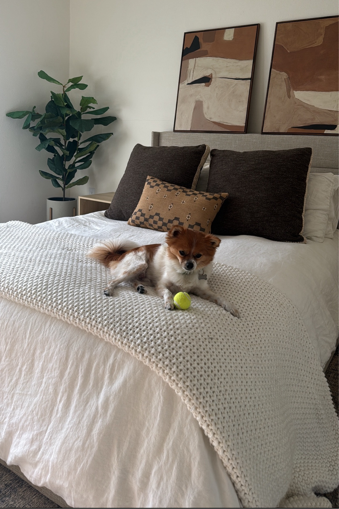 Favorite Bedding

#LTKHome #LTKGiftGuide #LTKStyleTip