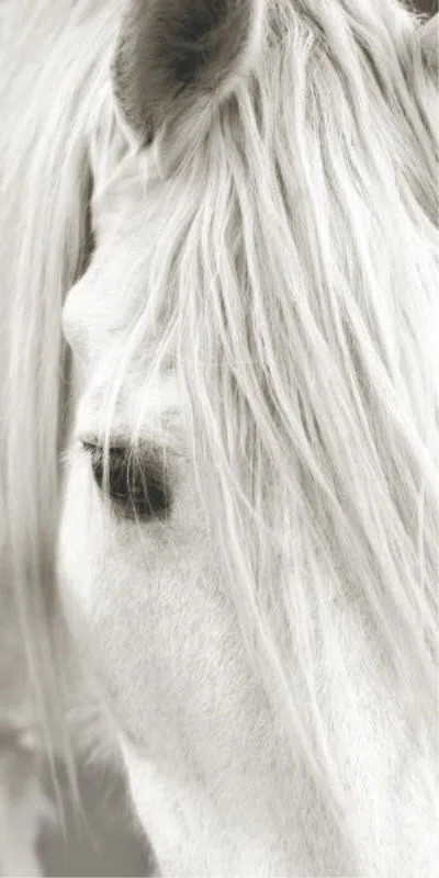 Chelsea Art Studio Focusing on White Horse III by Mari Urasawa - Photograph | Perigold | Perigold