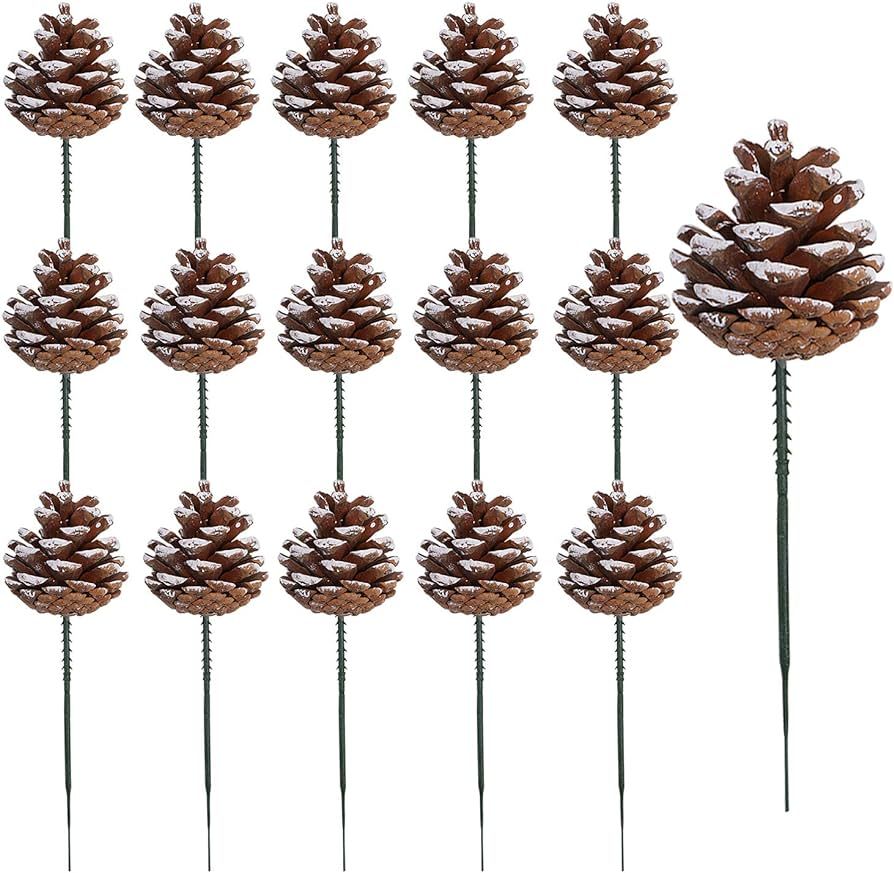 Cooraby 20 Pieces 2 Inch Christmas Natural Pine Cones Snow Tipped Natural Pine Cone with 5 Inch G... | Amazon (US)