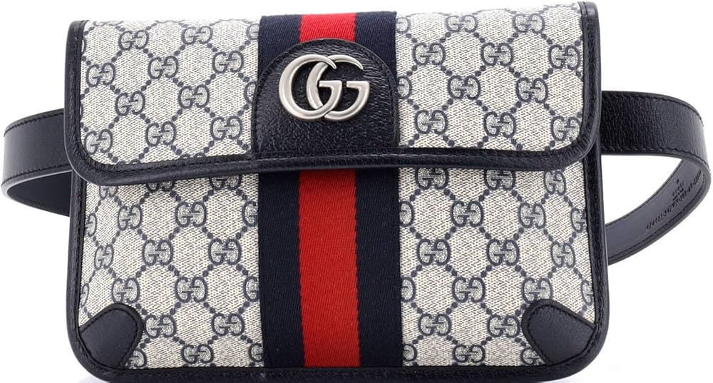 Amazon.com: Gucci, Pre-Loved Ophidia Flap Belt Bag GG Coated Canvas with Leather, Blue : Amazon L... | Amazon (US)