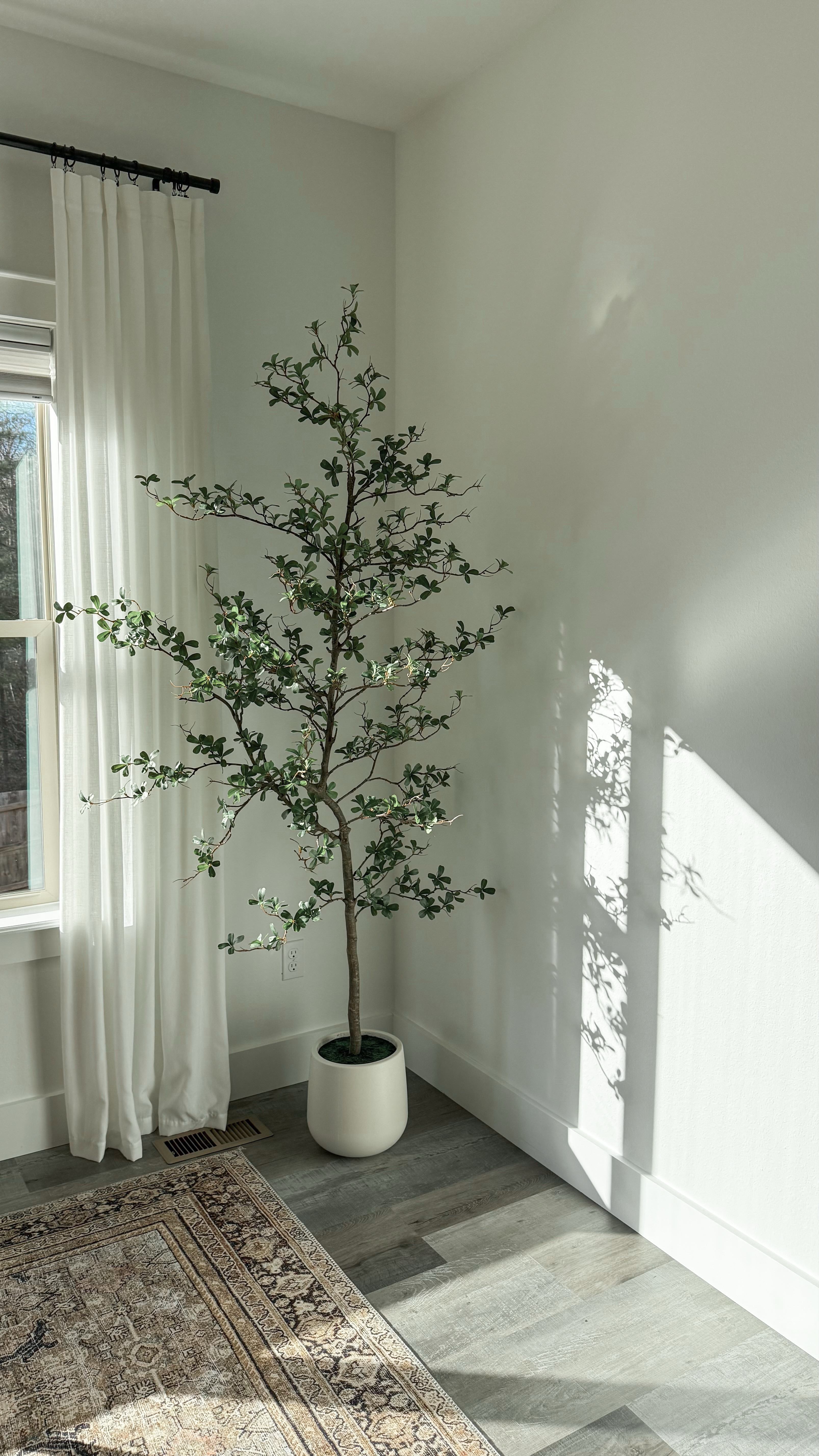 Move over old olive tree, there’s a new gal in town: The Shady Lady Olive Tree. She’s whimsical, life-like and oh-so-pretty. 😍 The best part is, it comes with its own gorgeous pot! I have the 7-ft tree here. 

#LTKFindsUnder100 #LTKHome