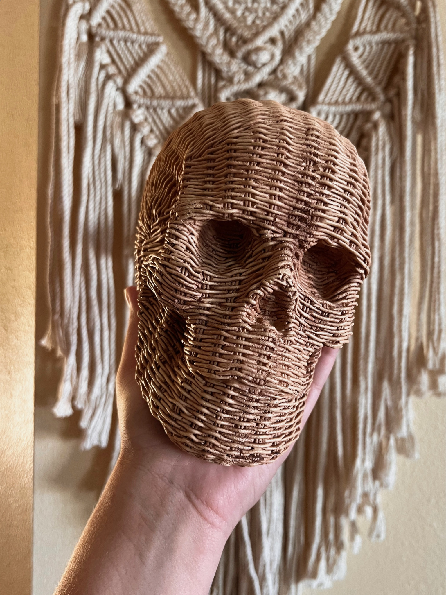 The most aesthetically pleasing skull I ever did see 💀

#LTKSeasonal #LTKFallSale