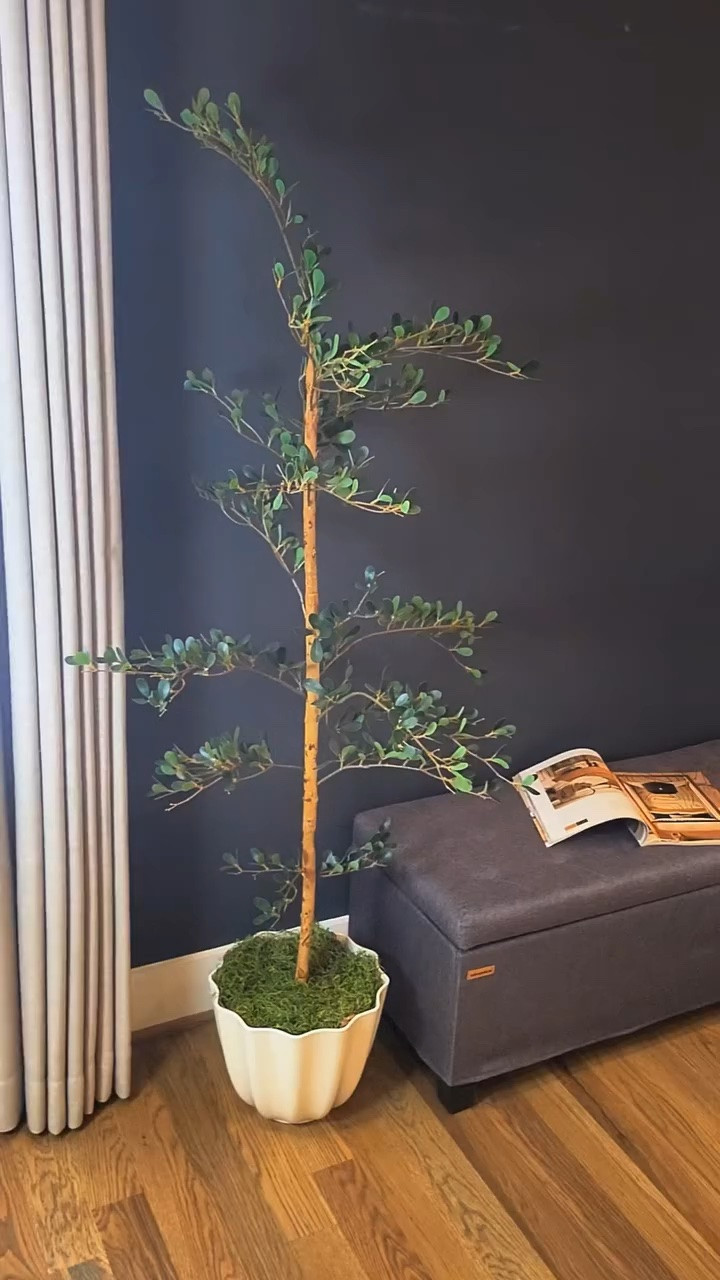 ✨ Elegancia, funcionalidad y almacenamiento en una sola pieza. ✨

Este hermoso banco otomano de SONGMICS no solo añade un toque sofisticado a cualquier espacio, también te ayuda a mantener todo organizado gracias a su amplio compartimento de almacenamiento. Perfecto para el pie de la cama, la sala o cualquier rincón de tu hogar. 🤍

📦 Lo encuentras en mi Amazon Storefront. 

#AmazonFinds #AmazonHome #Songmics #DecoracionDelHogar #StorageBench

#LTKHome #LTKU #LTKmomlife
