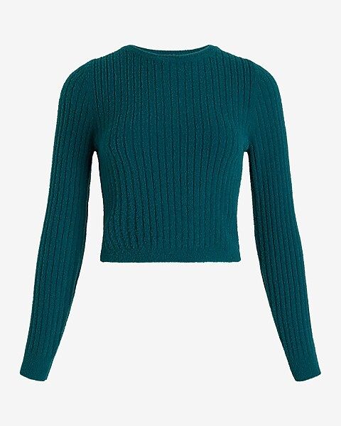 Fitted Ribbed Plush Knit Crew Neck Sweater | Express