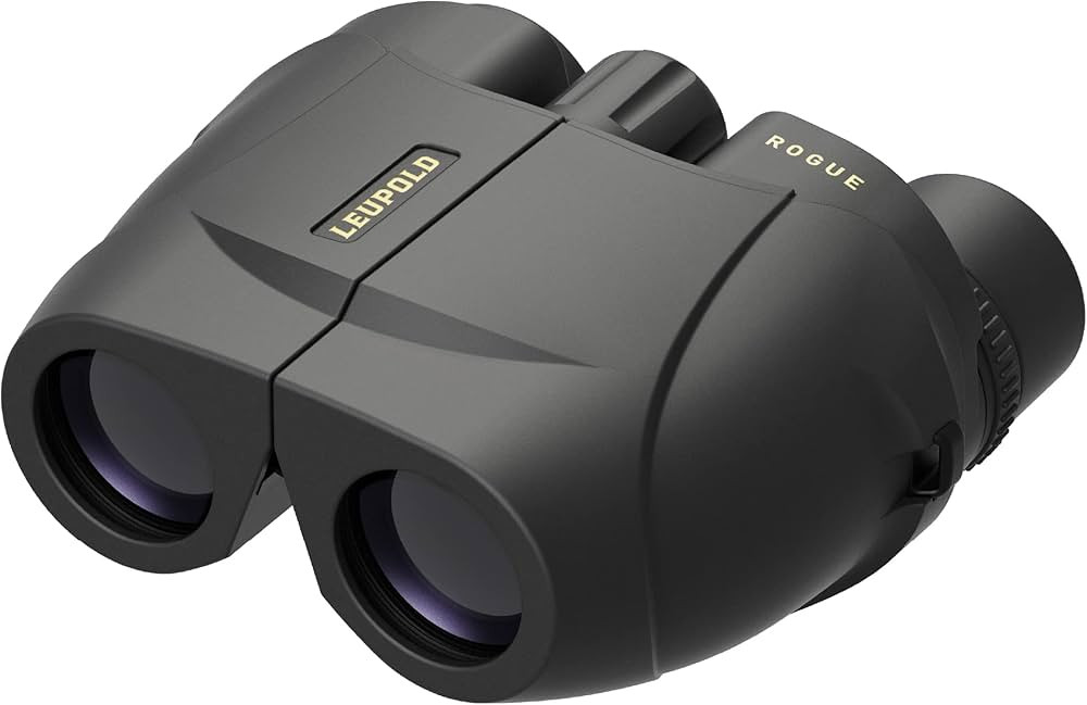 Leupold BX-1 Rogue Binoculars, 10x25mm (59225) | Amazon (US)