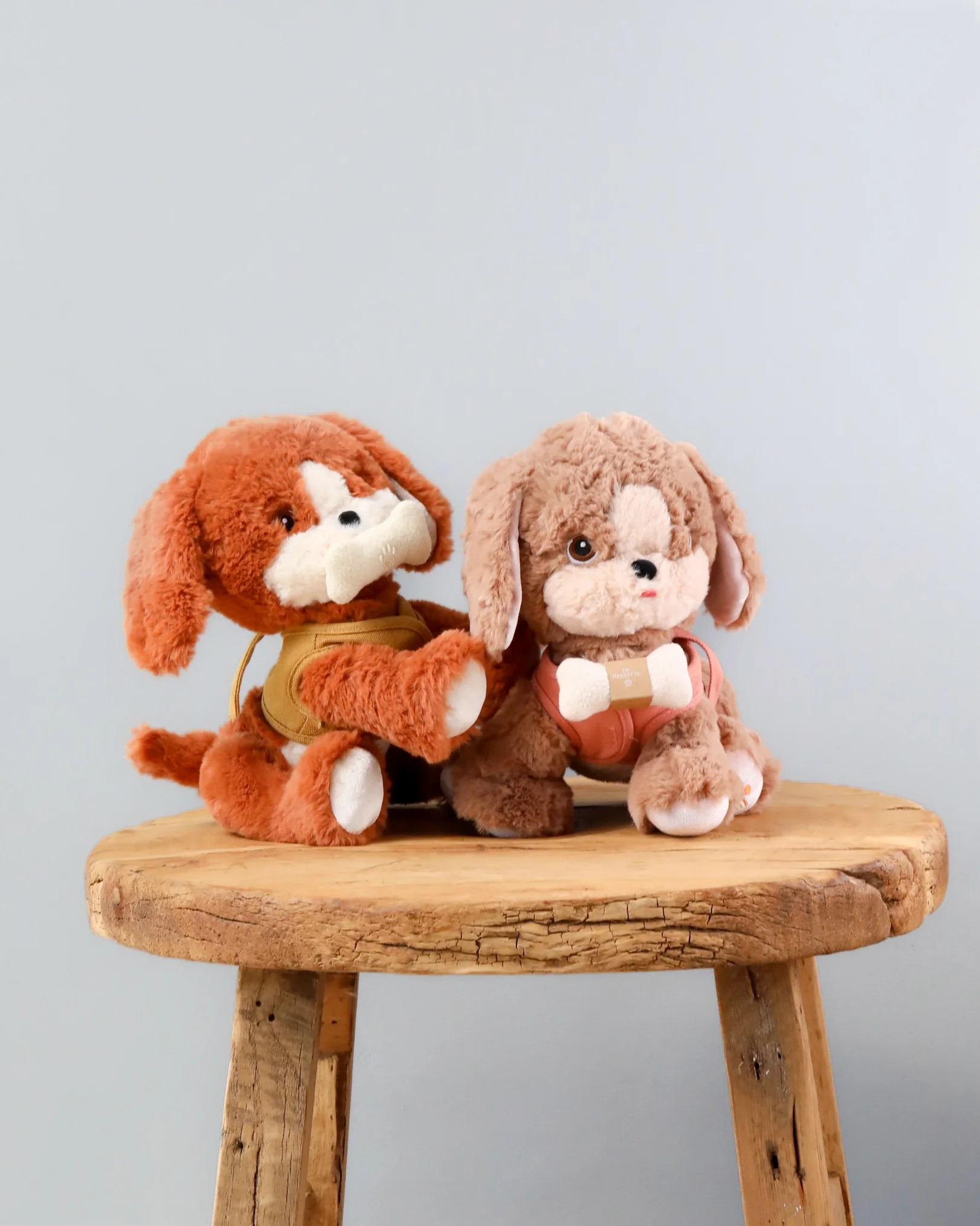 Olli Ella Dinkum Dog | Odin Parker