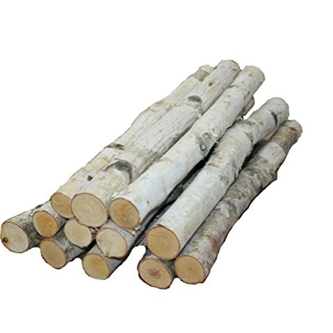 Wilson White Birch Log Set for Fireplace | Amazon (US)