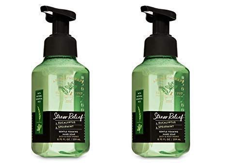 Bath and Body Works 2 Aromatherapy Stress Relief Gentle Foaming Hand Soap Eucalyptus & Spearmint.... | Amazon (US)