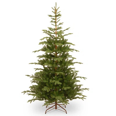 Norwegian 7.5' H Green Spruce Christmas Tree Unlit | AllModern